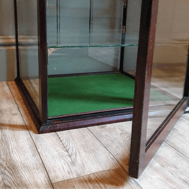 Edwardian Mahogany Shop Display Cabinet