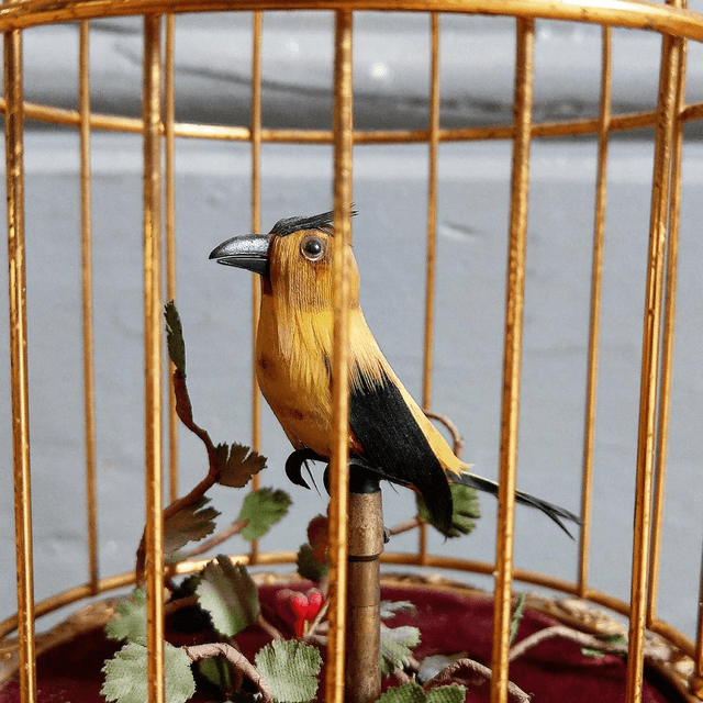 Automaton Singing Bird SOLD!